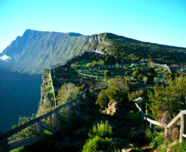 piton-maido