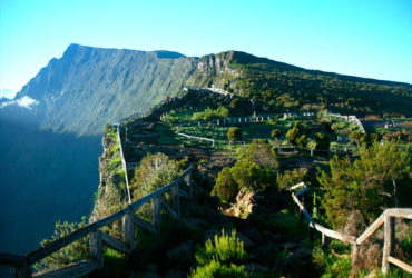 piton-maido