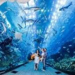 dubai-under-water