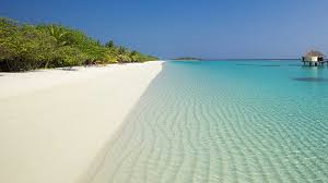 rodrigues-isla